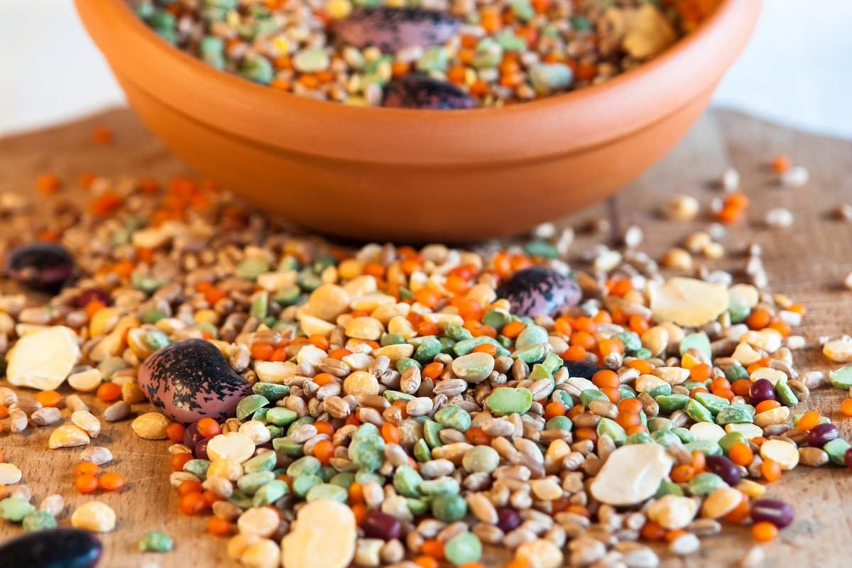 How to Harvest your Own Seed from Your Vegetable Garden for the Next Planting Season