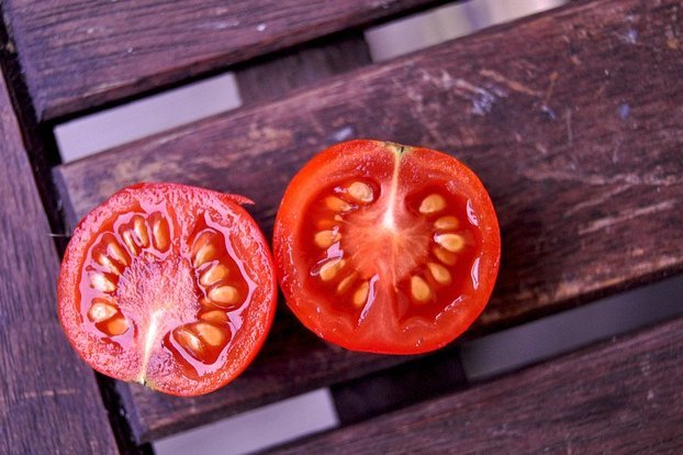 harvest heirloom tomato seeds